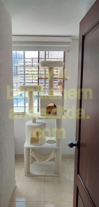 IMG-20230613-WA0010